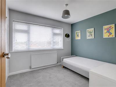 Picture 20